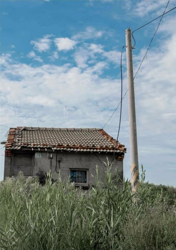 Bluephoto-25-藍攝-25-舞動王子-蠻